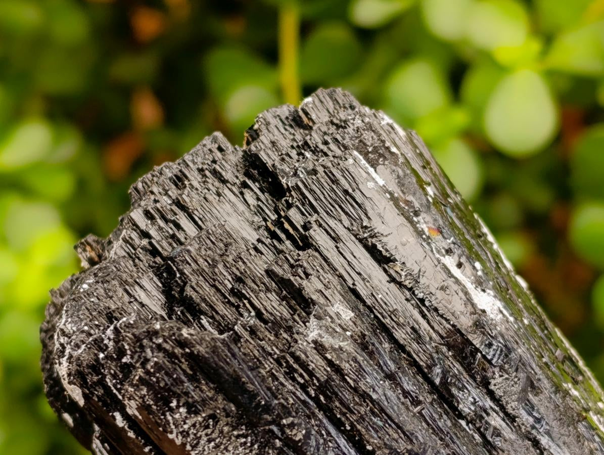 Natural Large Schorl Black Tourmaline Crystal and Cluster x 2 From Erongo, Namibia - Toprock Gemstones and Minerals 