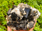 Natural Large Schorl Black Tourmaline Crystal and Cluster x 2 From Erongo, Namibia - Toprock Gemstones and Minerals 