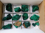 Natural Silky Malachite Specimens x 13 From Kasompe, Congo - Toprock Gemstones and Minerals 