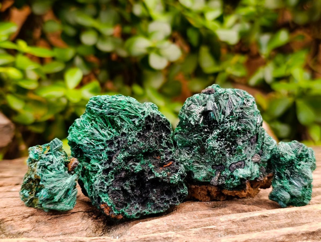 Natural Silky Malachite Specimens x 13 From Kasompe, Congo - Toprock Gemstones and Minerals 