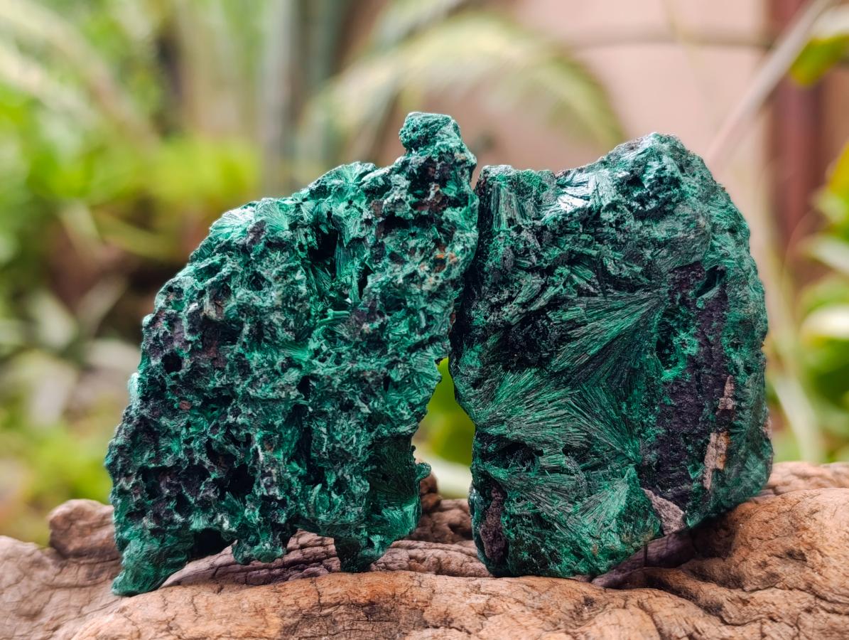Natural Silky Malachite Specimens x 13 From Kasompe, Congo - Toprock Gemstones and Minerals 