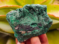 Natural Silky Malachite Specimens x 13 From Kasompe, Congo - Toprock Gemstones and Minerals 