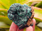 Natural Silky Malachite Specimens x 13 From Kasompe, Congo - Toprock Gemstones and Minerals 