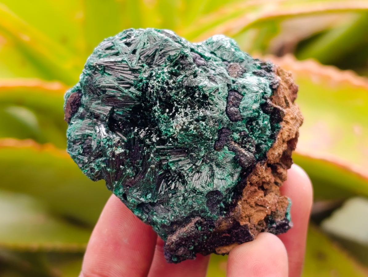Natural Silky Malachite Specimens x 13 From Kasompe, Congo - Toprock Gemstones and Minerals 