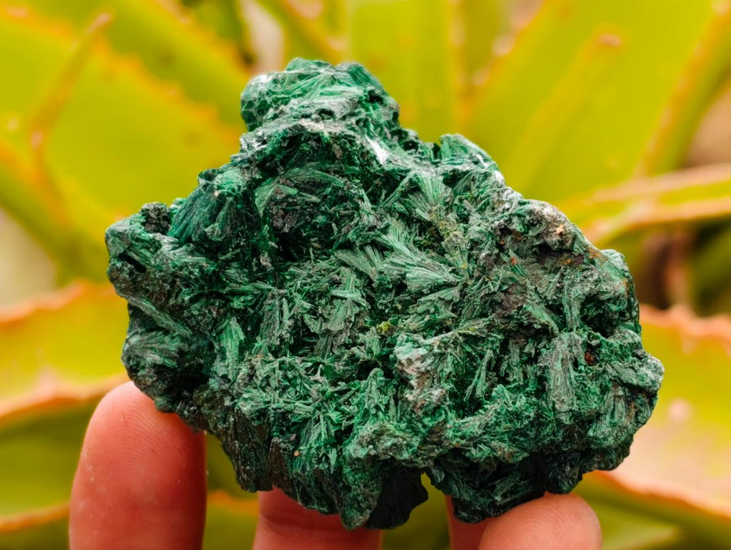 Natural Silky Malachite Specimens x 13 From Kasompe, Congo - Toprock Gemstones and Minerals 