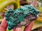 Natural Silky Malachite Specimens x 13 From Kasompe, Congo - Toprock Gemstones and Minerals 