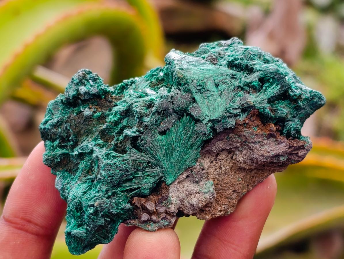 Natural Silky Malachite Specimens x 13 From Kasompe, Congo - Toprock Gemstones and Minerals 