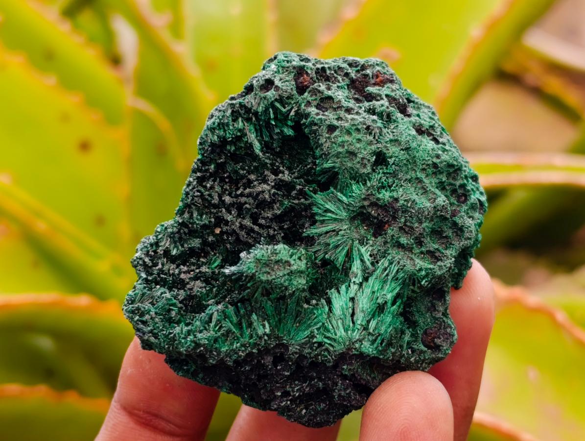 Natural Silky Malachite Specimens x 13 From Kasompe, Congo - Toprock Gemstones and Minerals 