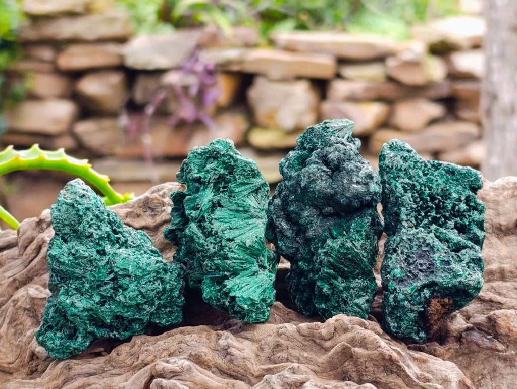 Natural Silky Malachite Specimens x 13 From Kasompe, Congo - Toprock Gemstones and Minerals 