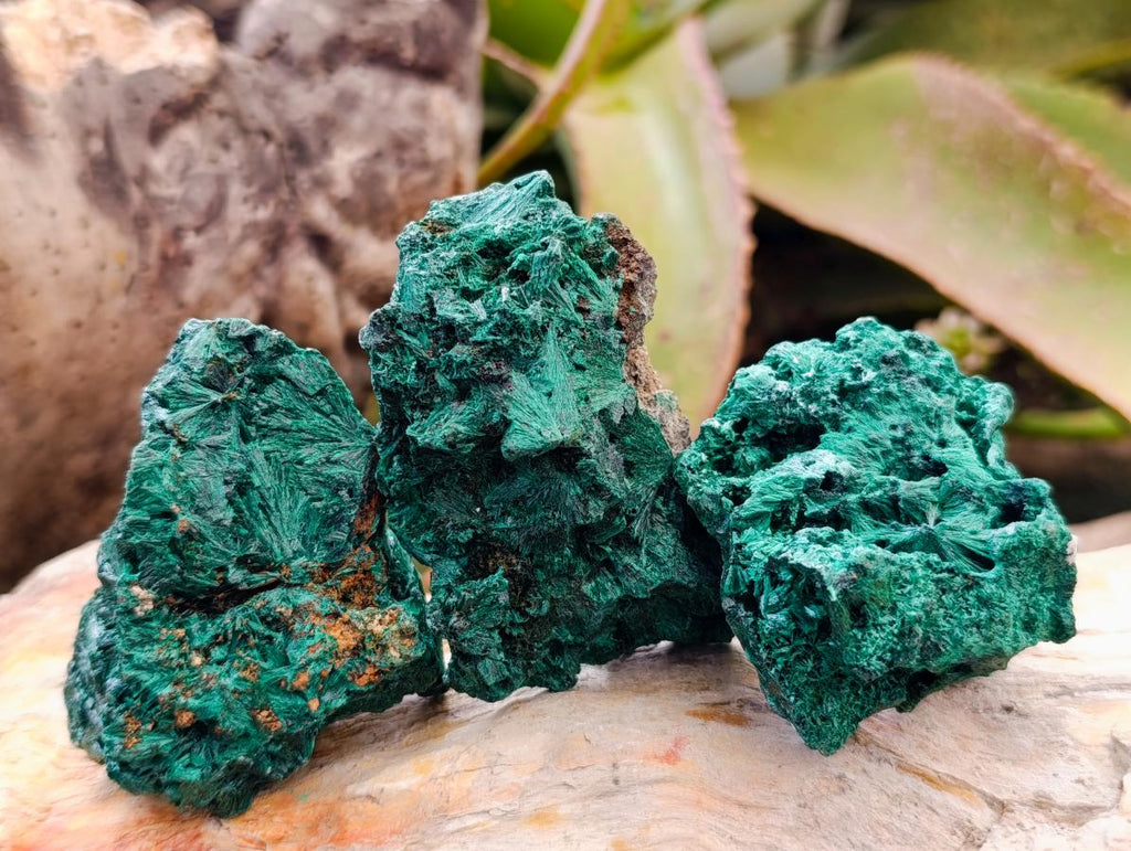 Natural Silky Malachite Specimens x 13 From Kasompe, Congo - Toprock Gemstones and Minerals 