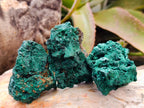 Natural Silky Malachite Specimens x 13 From Kasompe, Congo - Toprock Gemstones and Minerals 