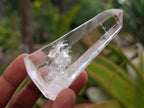 Polished Clear Quartz Display Crystals x 12 From Madagascar - Toprock Gemstones and Minerals 