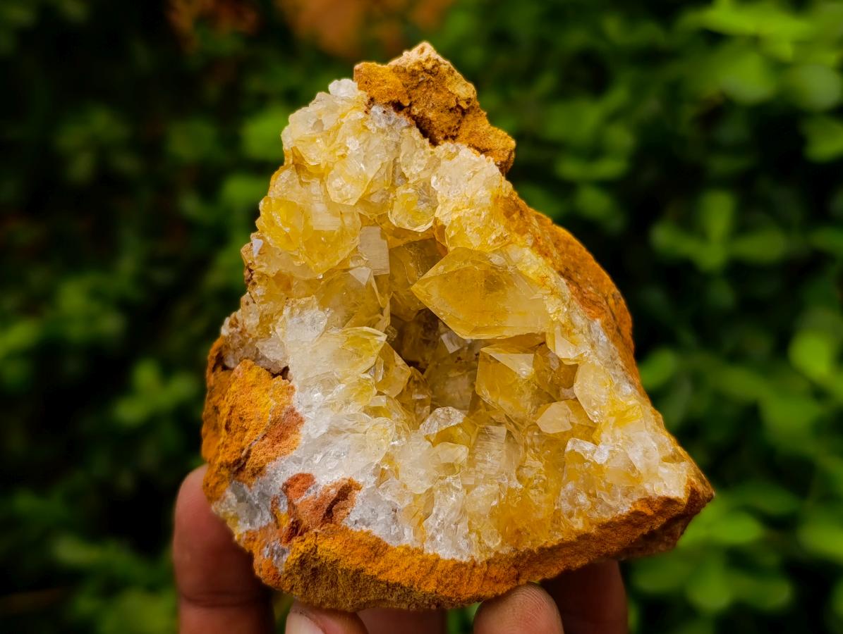 Natural Limonite Quartz Clusters x 12 From Solwezi, Zambia - Toprock Gemstones and Minerals 