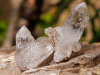 Natural Brandberg Window Quartz Crystals x 70 From Brandberg, Namibia - Toprock Gemstones and Minerals 