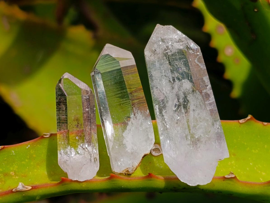 Natural Brandberg Window Quartz Crystals x 70 From Brandberg, Namibia - Toprock Gemstones and Minerals 