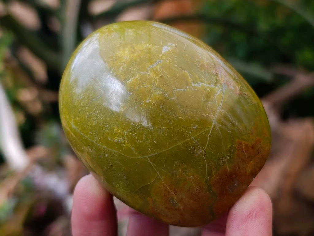 Polished Green Opal Standing Free Forms x 12 From Betroka, Madagascar - Toprock Gemstones and Minerals 