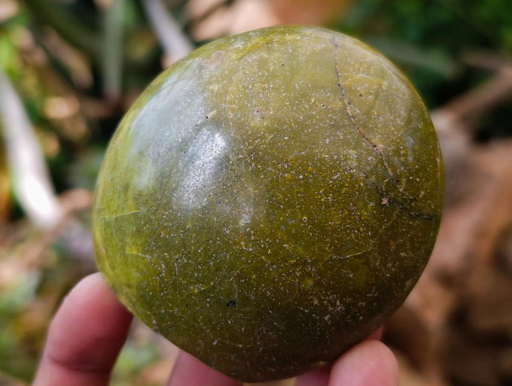 Polished Green Opal Standing Free Forms x 12 From Betroka, Madagascar - Toprock Gemstones and Minerals 