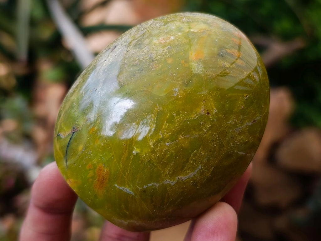 Polished Green Opal Standing Free Forms x 12 From Betroka, Madagascar - Toprock Gemstones and Minerals 