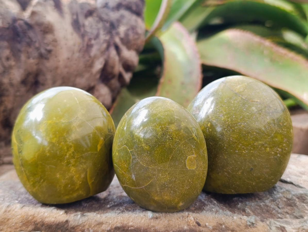 Polished Green Opal Standing Free Forms x 12 From Betroka, Madagascar - Toprock Gemstones and Minerals 