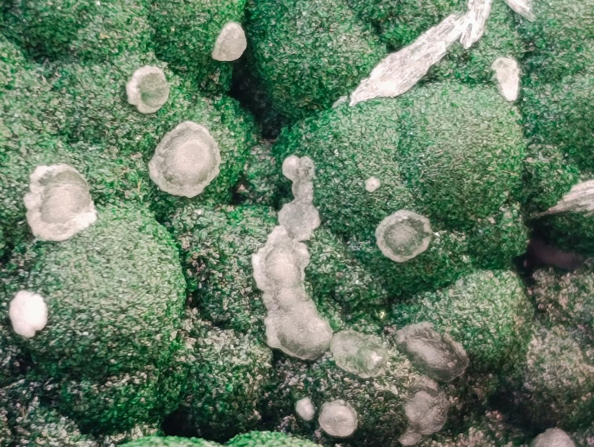 Natural Large Botryoidal Malachite Specimen x 1 From Congo - Toprock Gemstones and Minerals 