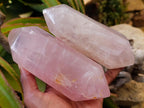 Polished Double Terminated Gemmy Rose Quartz Crystals x 3 From Madagascar - Toprock Gemstones and Minerals 