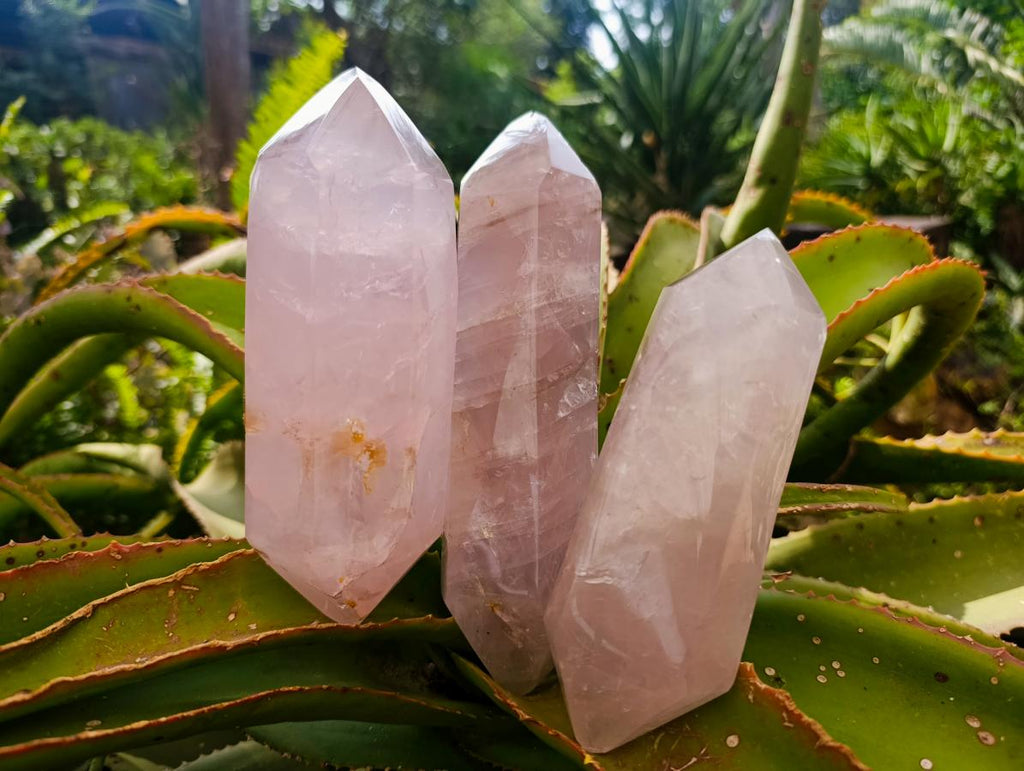 Polished Double Terminated Gemmy Rose Quartz Crystals x 3 From Madagascar - Toprock Gemstones and Minerals 