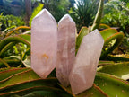 Polished Double Terminated Gemmy Rose Quartz Crystals x 3 From Madagascar - Toprock Gemstones and Minerals 