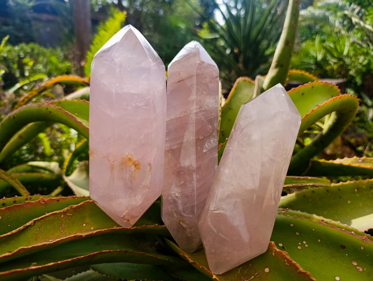 Polished Double Terminated Gemmy Rose Quartz Crystals x 3 From Madagascar - Toprock Gemstones and Minerals 