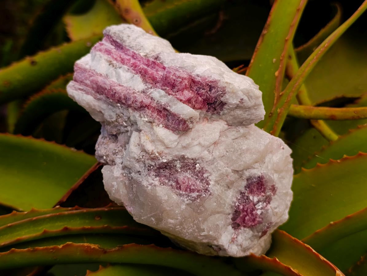 Natural Pink Rubellite Tourmaline Specimens x 2 From Karibib, Namibia - Toprock Gemstones and Minerals 
