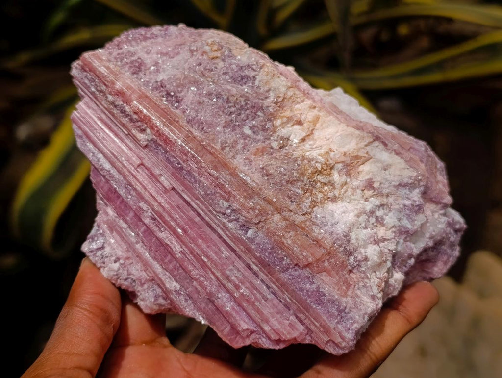 Natural Pink Rubellite Tourmaline Specimens x 2 From Karibib, Namibia - Toprock Gemstones and Minerals 