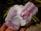 Natural Pink Rubellite Tourmaline Specimens x 2 From Karibib, Namibia - Toprock Gemstones and Minerals 