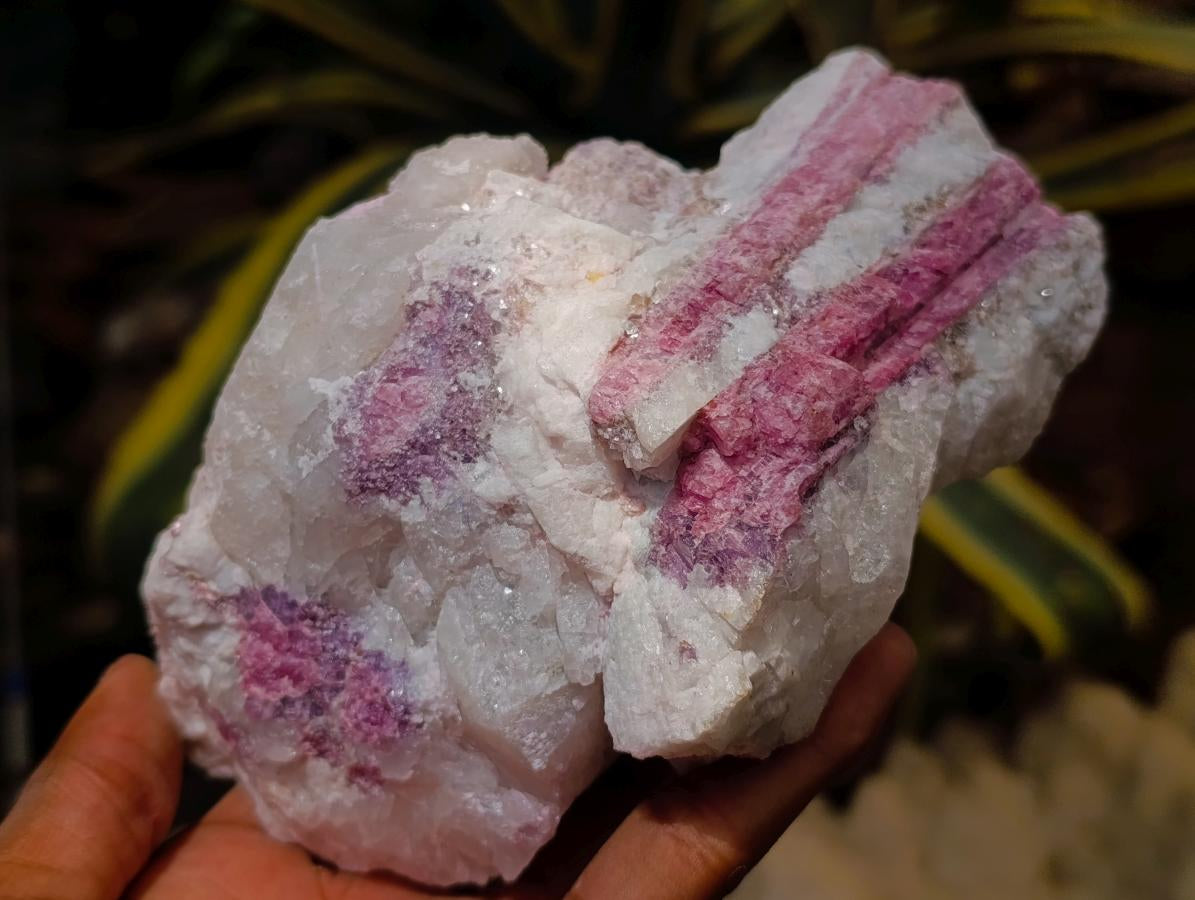 Natural Pink Rubellite Tourmaline Specimens x 2 From Karibib, Namibia - Toprock Gemstones and Minerals 