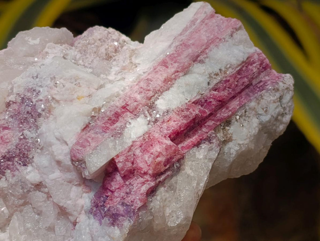 Natural Pink Rubellite Tourmaline Specimens x 2 From Karibib, Namibia - Toprock Gemstones and Minerals 