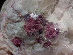 Natural Pink Rubellite Tourmaline Specimens x 2 From Karibib, Namibia - Toprock Gemstones and Minerals 
