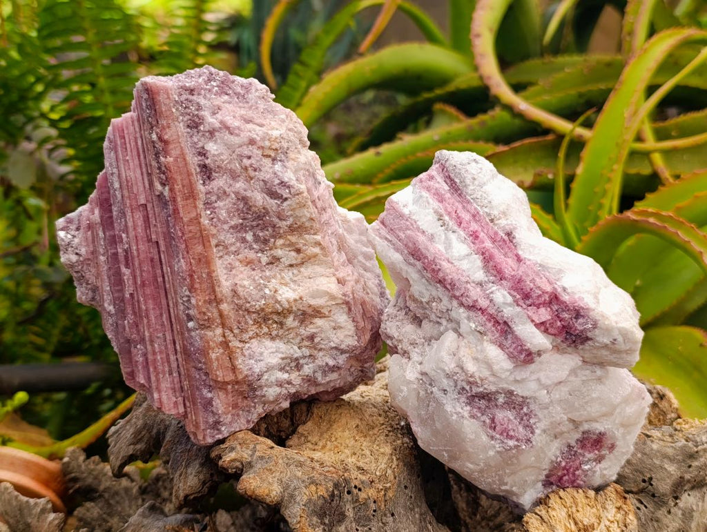 Natural Pink Rubellite Tourmaline Specimens x 2 From Karibib, Namibia - Toprock Gemstones and Minerals 