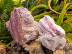 Natural Pink Rubellite Tourmaline Specimens x 2 From Karibib, Namibia - Toprock Gemstones and Minerals 