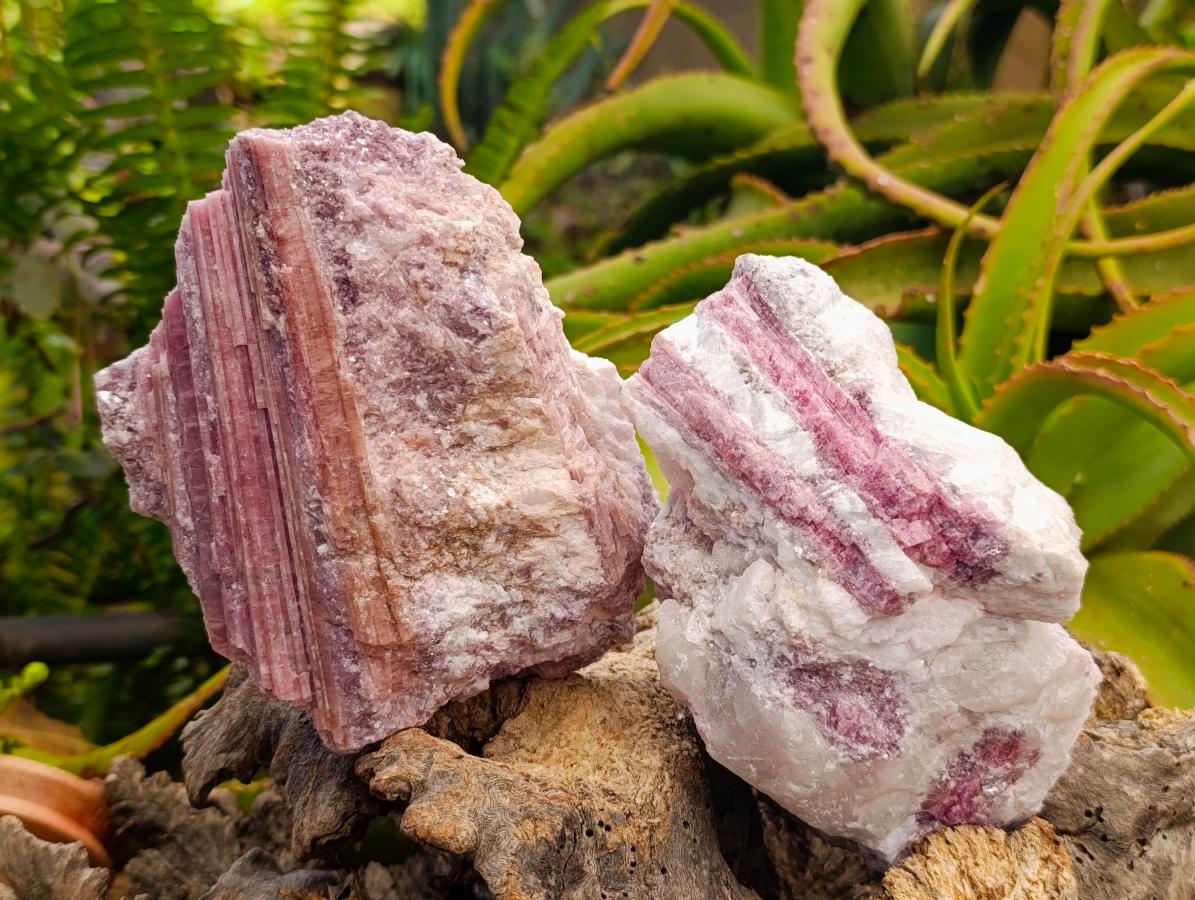 Natural Pink Rubellite Tourmaline Specimens x 2 From Karibib, Namibia - Toprock Gemstones and Minerals 