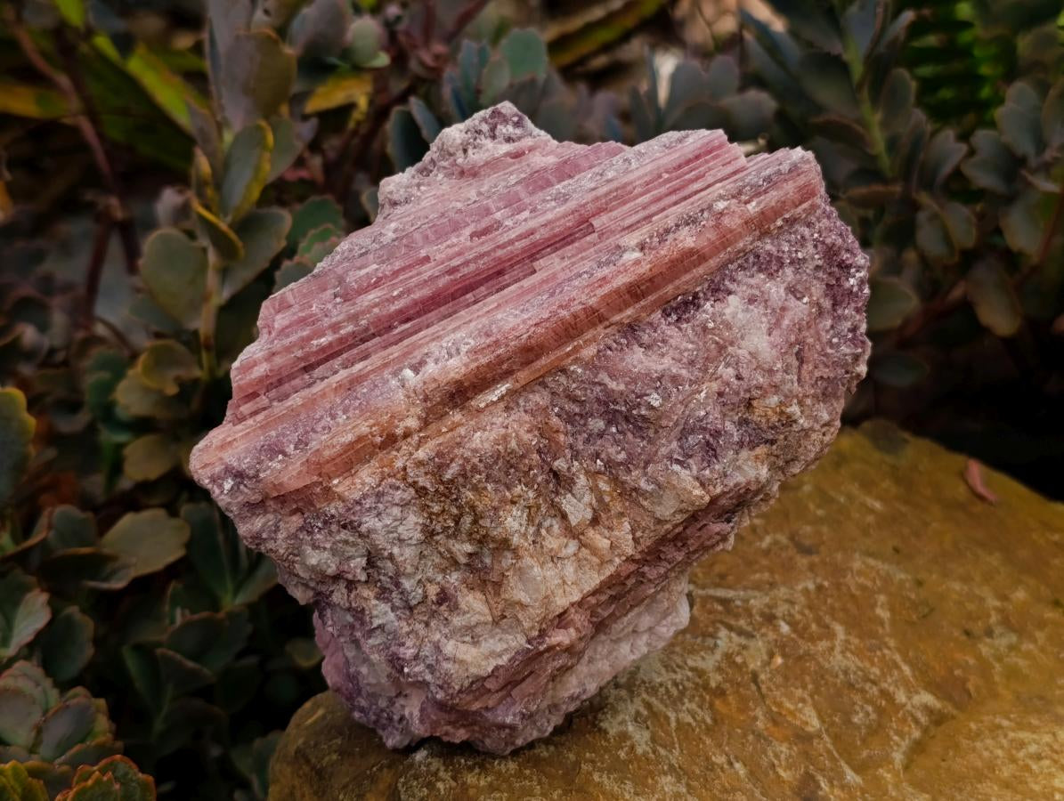 Natural Pink Rubellite Tourmaline Specimens x 2 From Karibib, Namibia - Toprock Gemstones and Minerals 