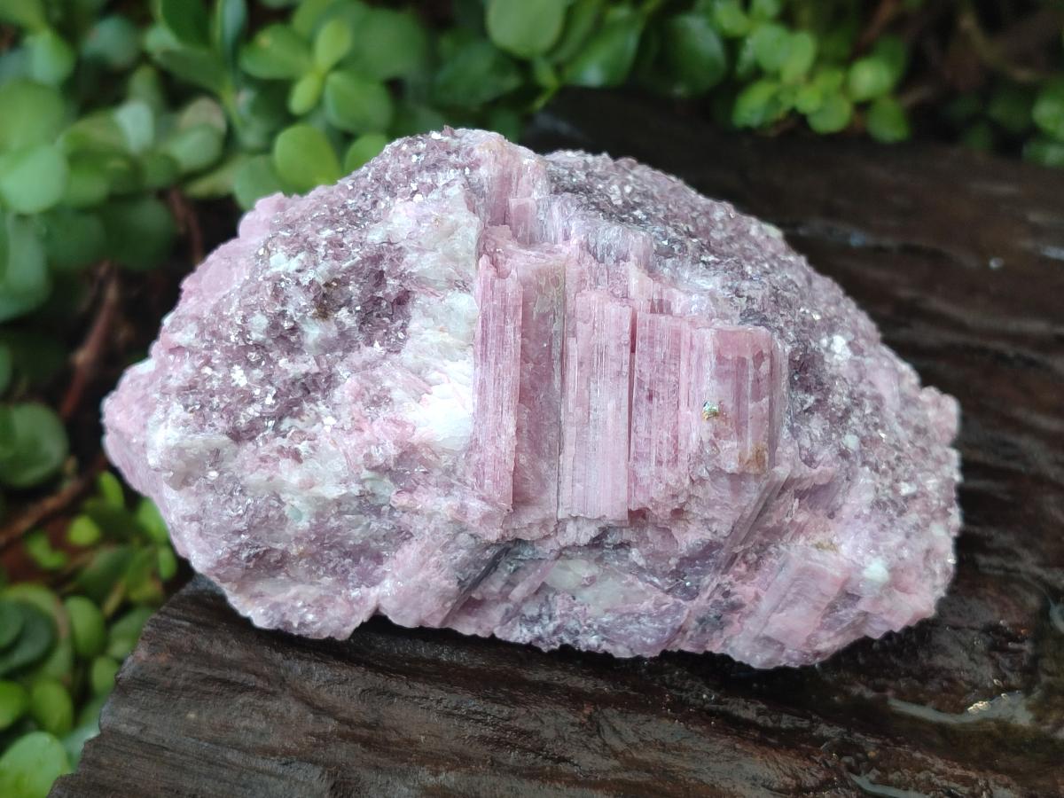 Natural Pink Rubellite Tourmaline Specimens x 3 From Karibib, Namibia - Toprock Gemstones and Minerals 