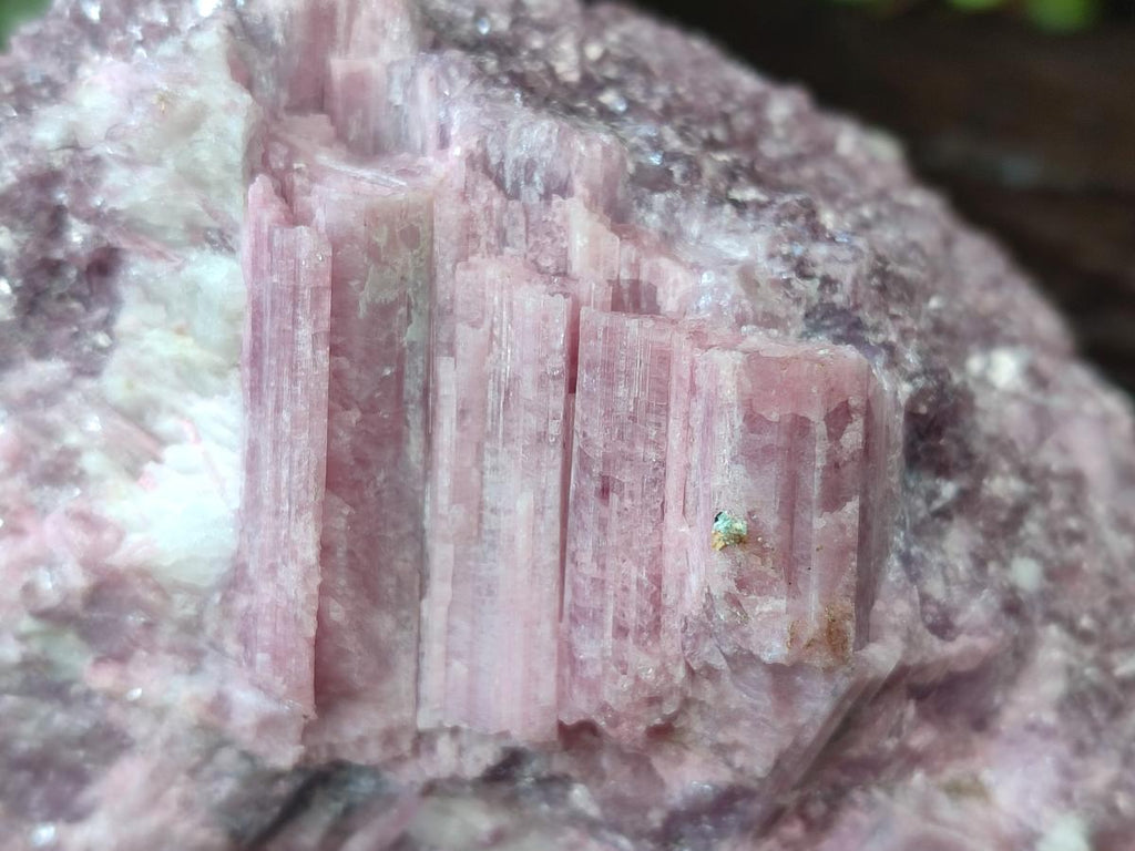 Natural Pink Rubellite Tourmaline Specimens x 3 From Karibib, Namibia - Toprock Gemstones and Minerals 