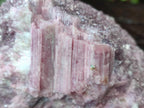 Natural Pink Rubellite Tourmaline Specimens x 3 From Karibib, Namibia - Toprock Gemstones and Minerals 