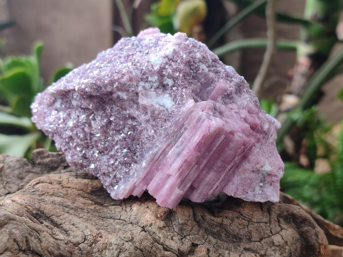 Natural Pink Rubellite Tourmaline Specimens x 3 From Karibib, Namibia - Toprock Gemstones and Minerals 