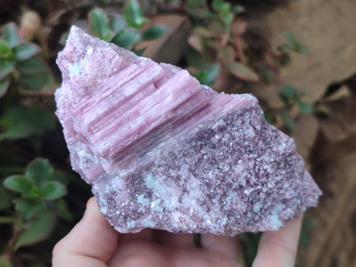 Natural Pink Rubellite Tourmaline Specimens x 3 From Karibib, Namibia - Toprock Gemstones and Minerals 