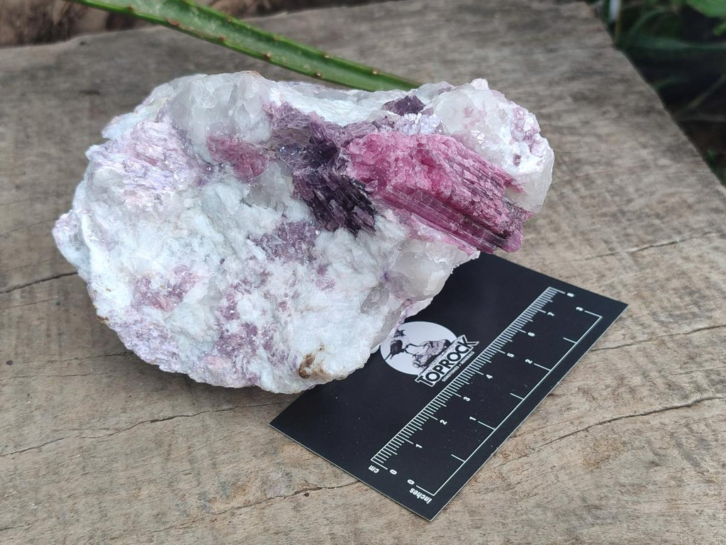 Natural Pink Rubellite Tourmaline Specimens x 3 From Karibib, Namibia - Toprock Gemstones and Minerals 
