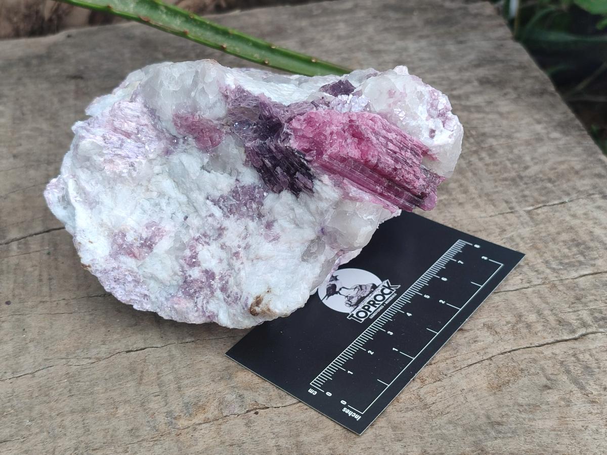 Natural Pink Rubellite Tourmaline Specimens x 3 From Karibib, Namibia - Toprock Gemstones and Minerals 