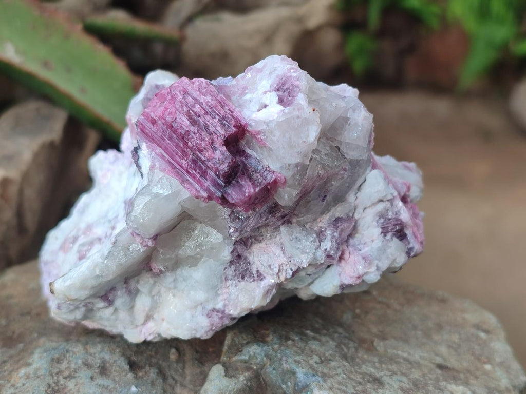 Natural Pink Rubellite Tourmaline Specimens x 3 From Karibib, Namibia - Toprock Gemstones and Minerals 