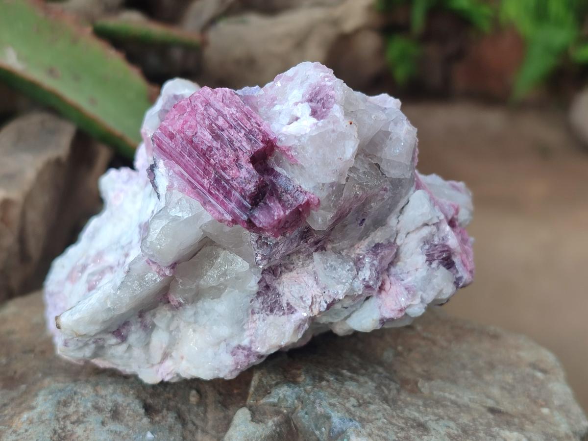 Natural Pink Rubellite Tourmaline Specimens x 3 From Karibib, Namibia - Toprock Gemstones and Minerals 
