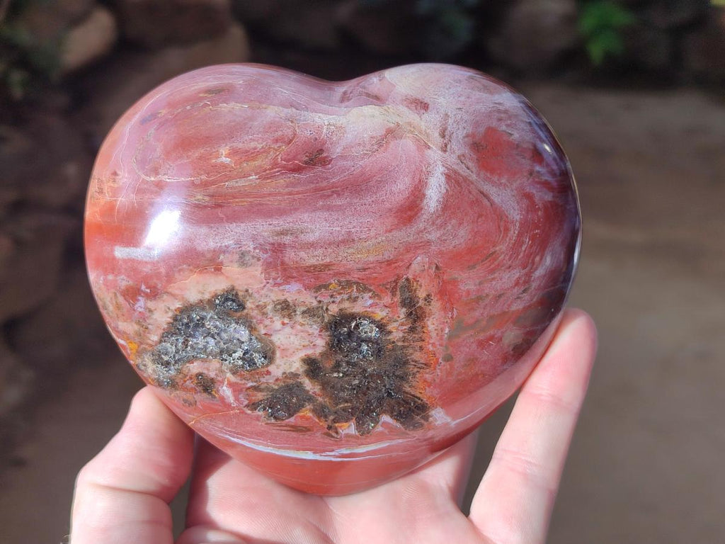 Polished Large Red Podocarpus Petrified Wood Hearts x 2 From Mahajanga, Madagascar - Toprock Gemstones and Minerals 