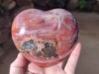 Polished Large Red Podocarpus Petrified Wood Hearts x 2 From Mahajanga, Madagascar - Toprock Gemstones and Minerals 