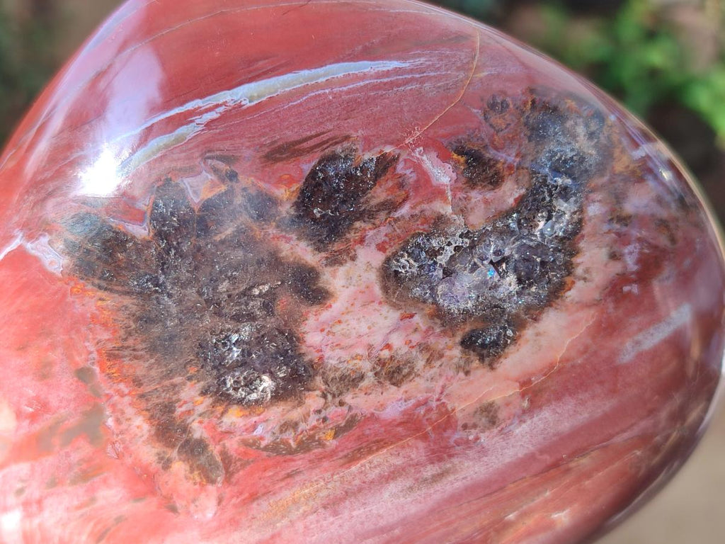 Polished Large Red Podocarpus Petrified Wood Hearts x 2 From Mahajanga, Madagascar - Toprock Gemstones and Minerals 